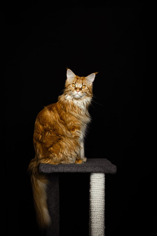 Photograph by Екатерина Абатурова