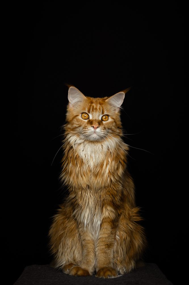 Photograph by Екатерина Абатурова