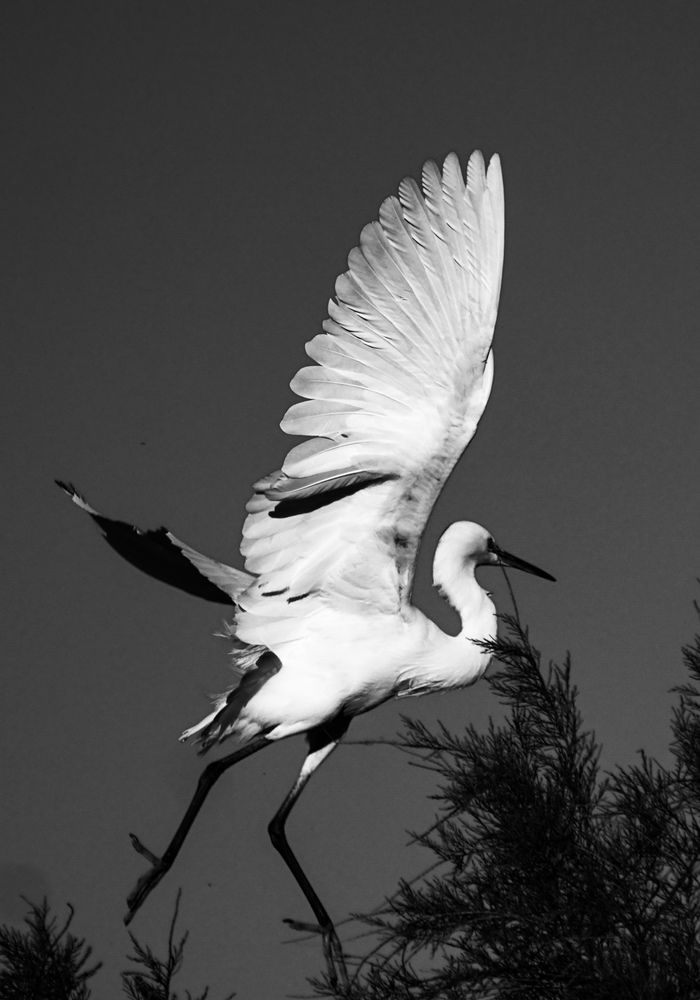 Фотография автора Sotiris Makrygiannis