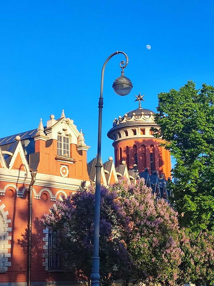 Петровский путевой дворец