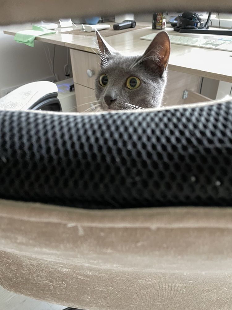 Photograph by Роман Худяков