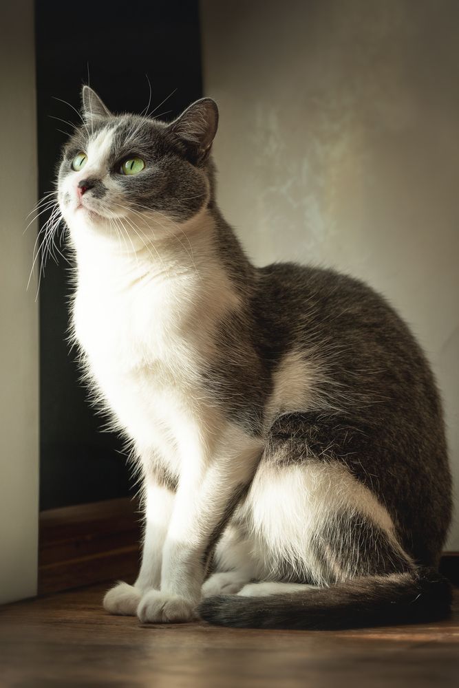 Photograph by Елена Коновалова