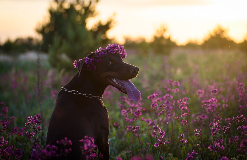 Photograph by Наталья Романова