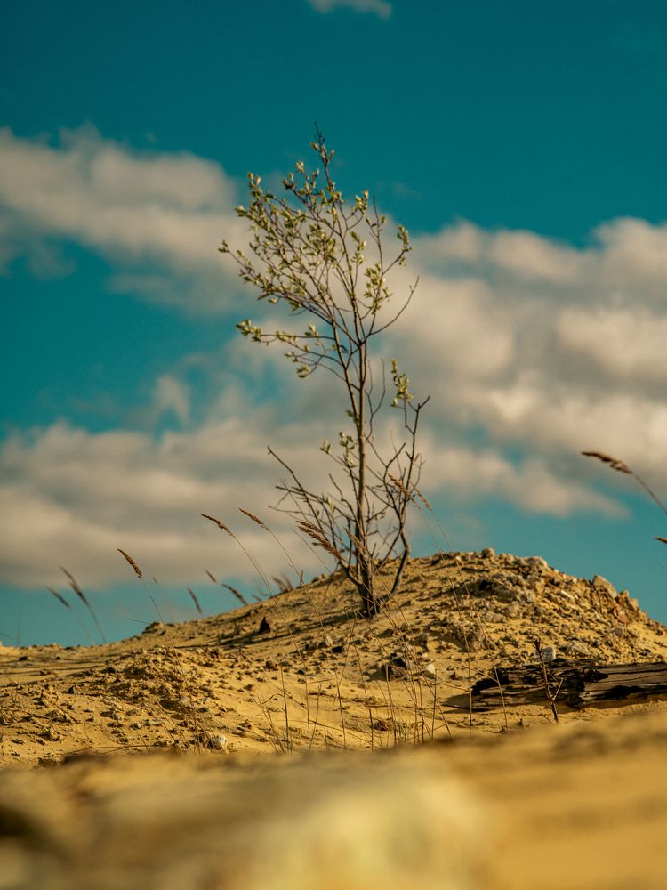 Photograph by Евгений Конов