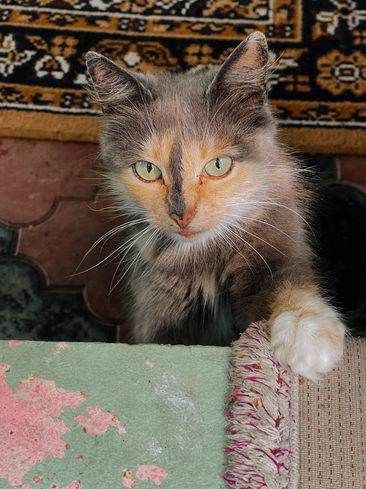 Photograph by Олена Уманцева