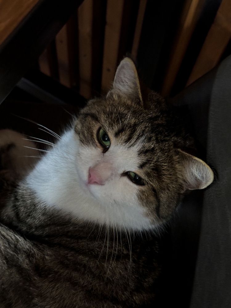 Photograph by Олена Уманцева