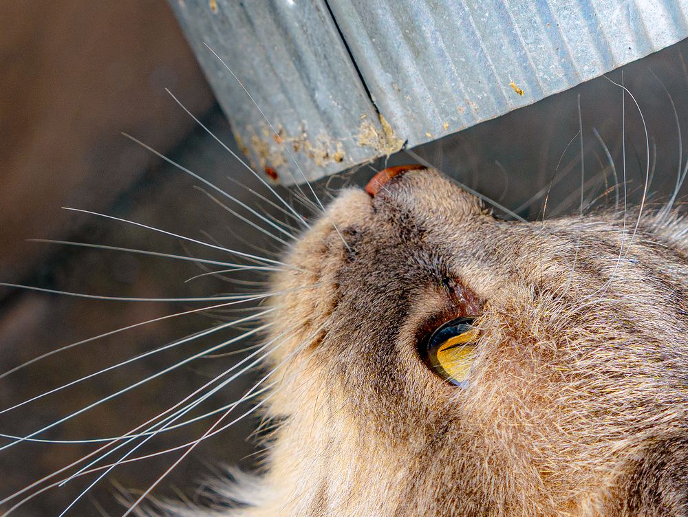 Photograph by Евгений Конов