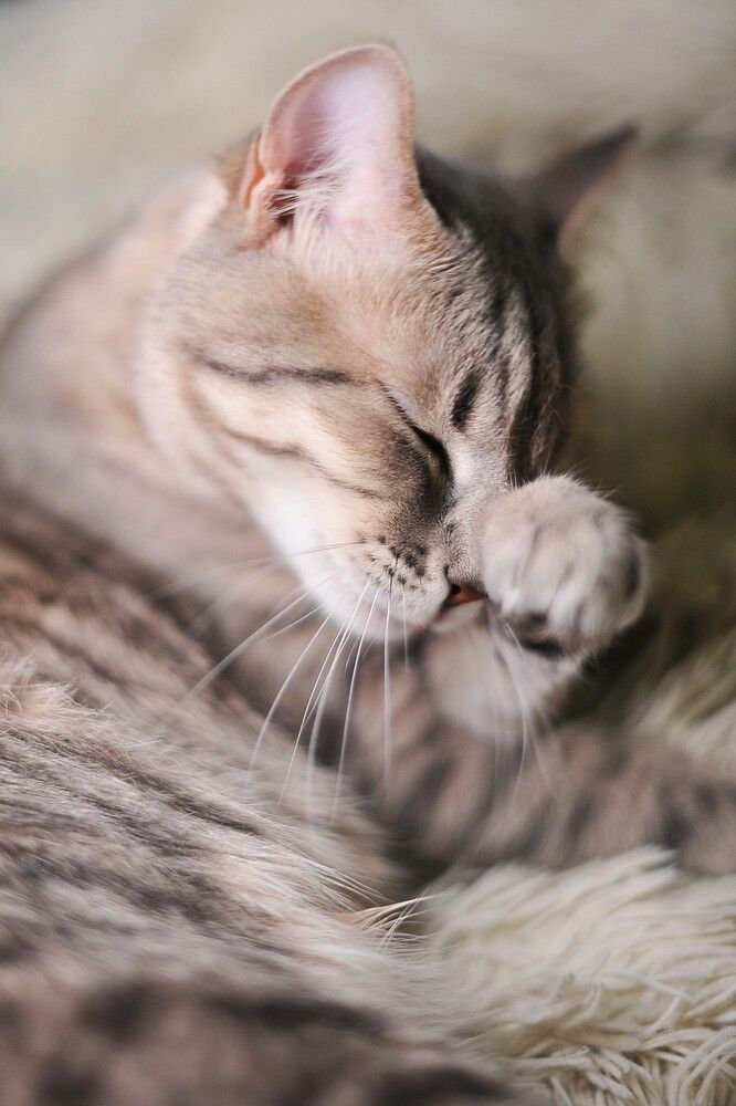 Фотография автора Ольга Пушленкова