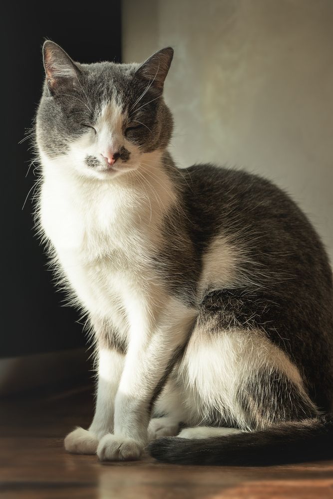 Photograph by Елена Коновалова