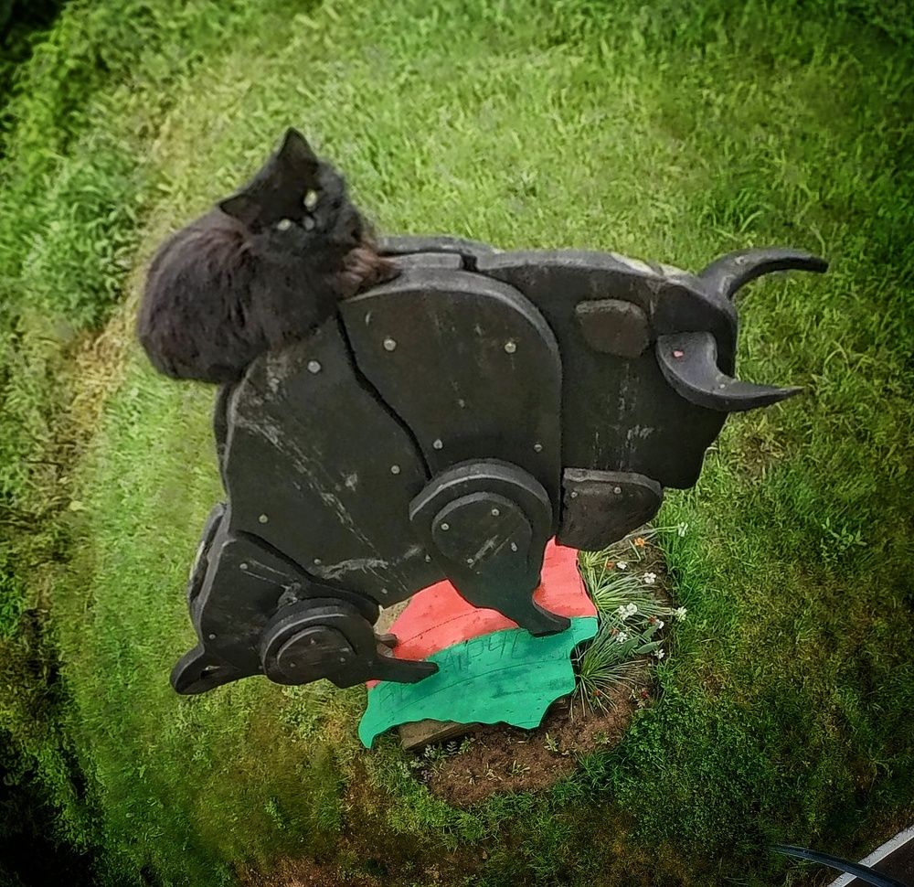 Фотография автора Максим Светличный