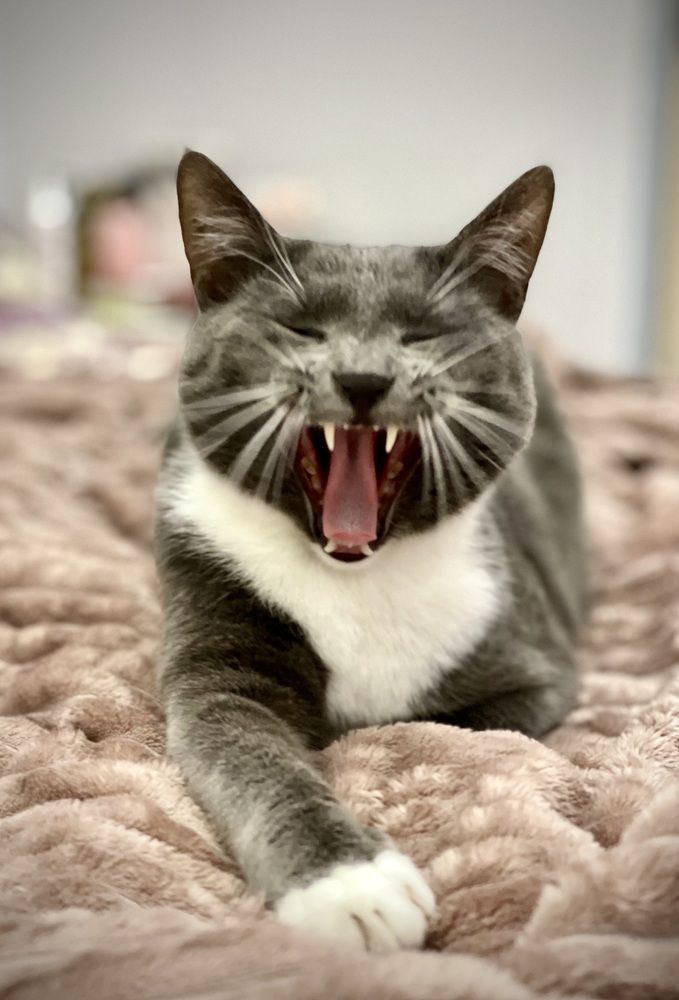 Photograph by Роман Худяков