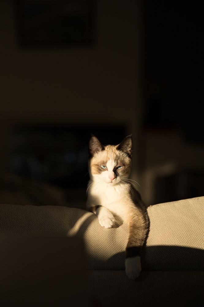 Photograph by Наталья Леснова