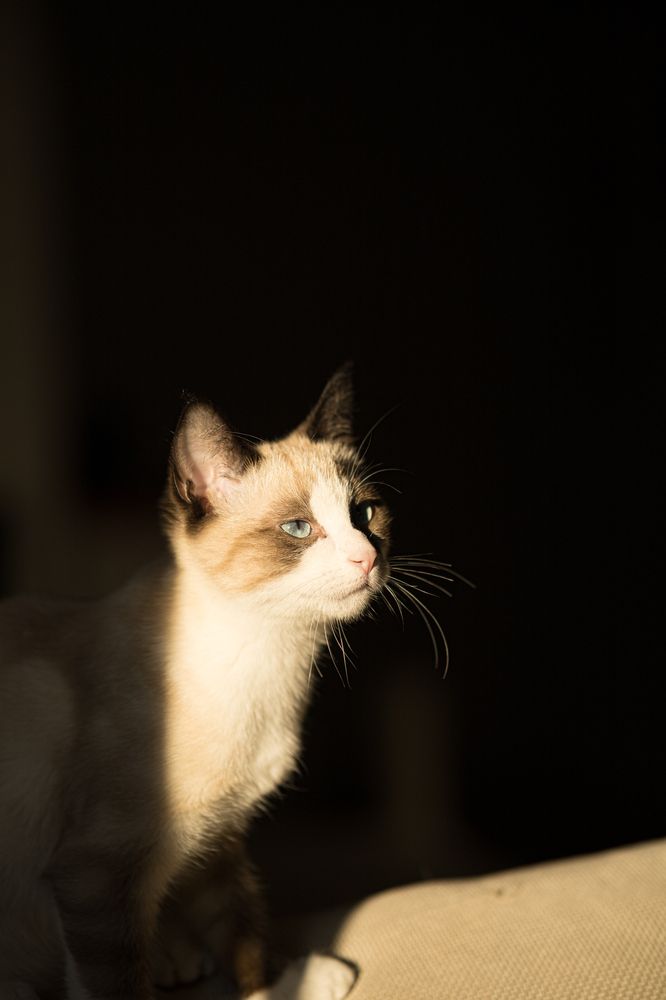 Photograph by Наталья Леснова