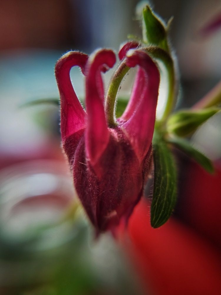 Цветочное сердце