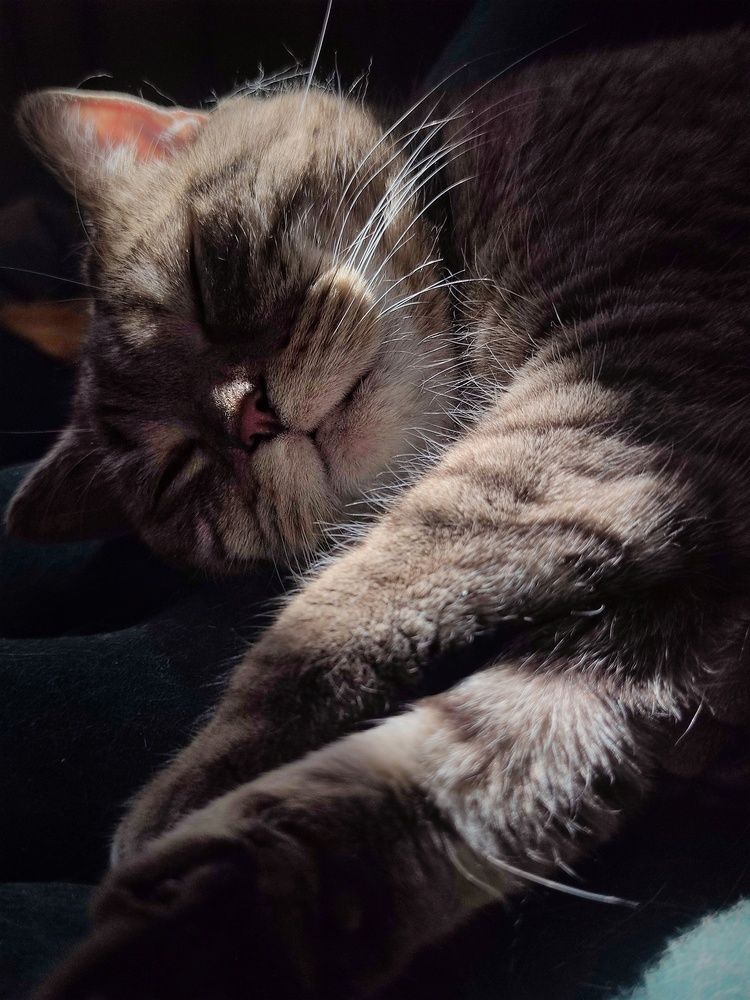 Photograph by Светлана Рогачева