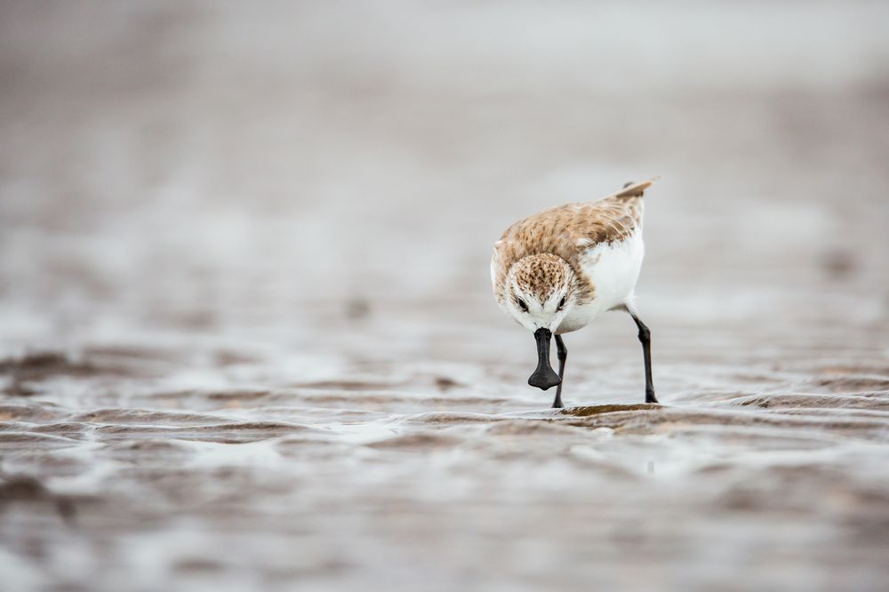 Photograph by MINH LUU