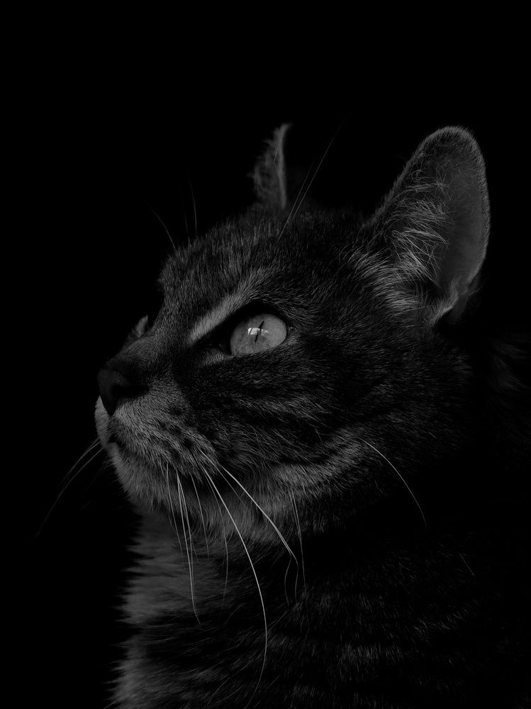 Photograph by Елена