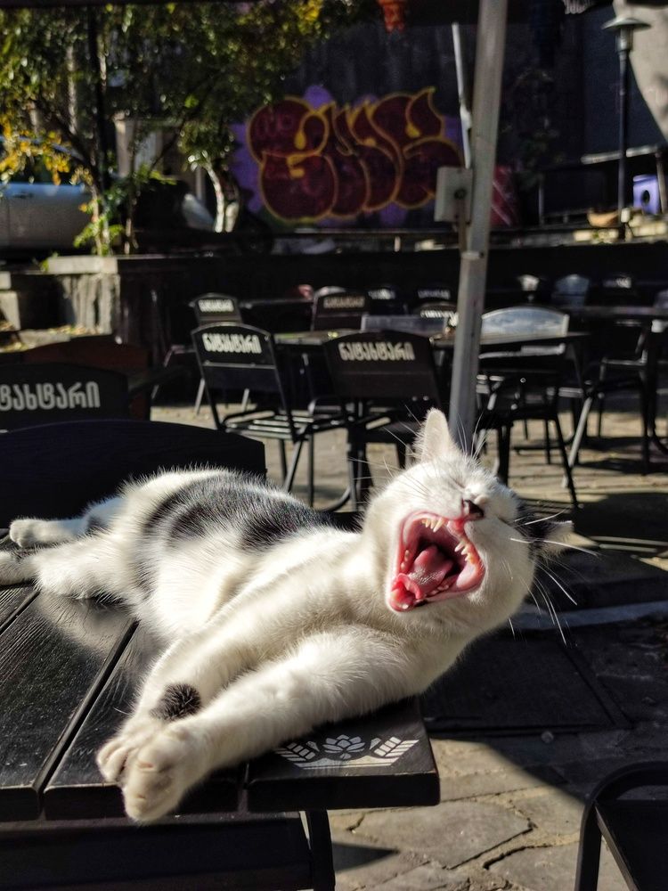 Photograph by Светлана Рогачева