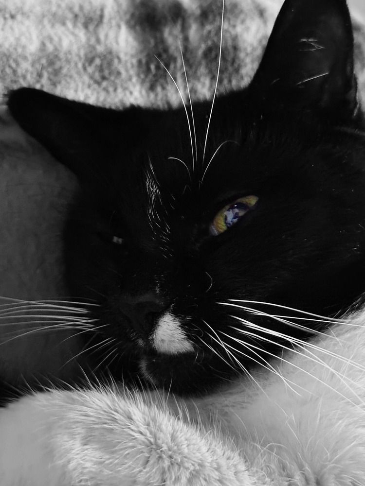 Photograph by Татьяна Смирнова