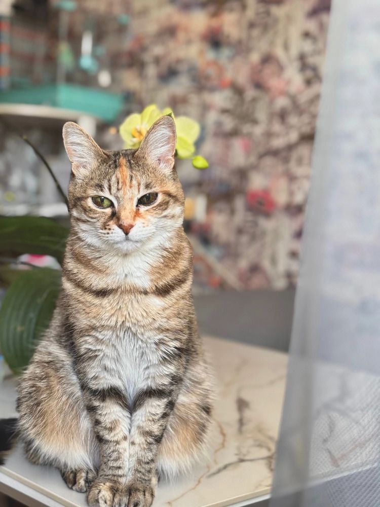 Photograph by Татьяна Смирнова