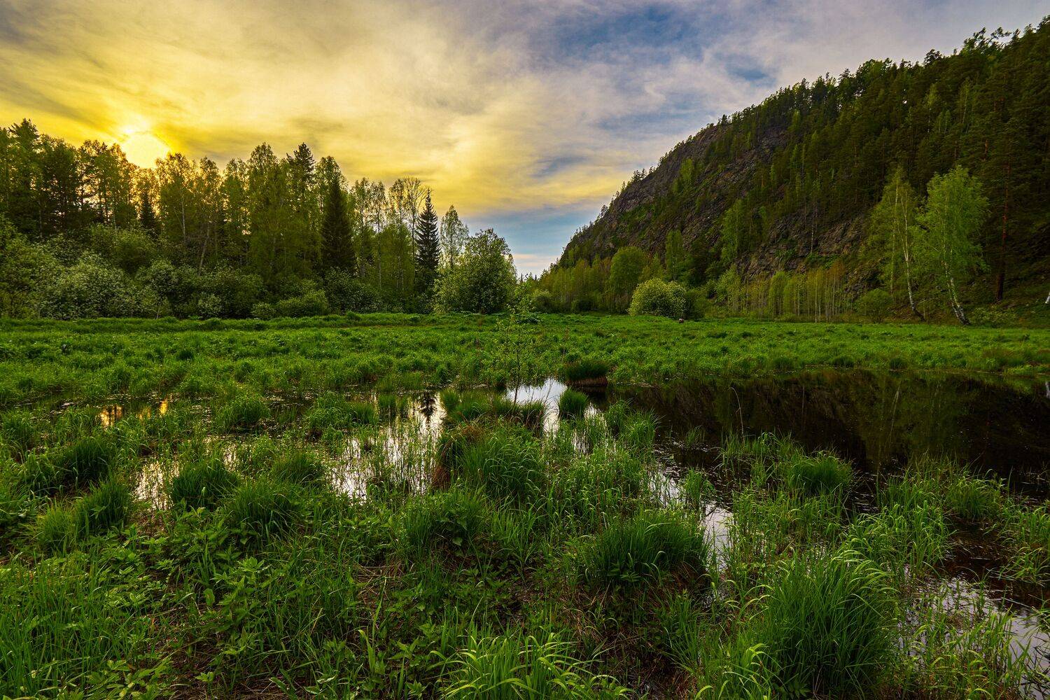 Скоро ночь. Скоро ночь.