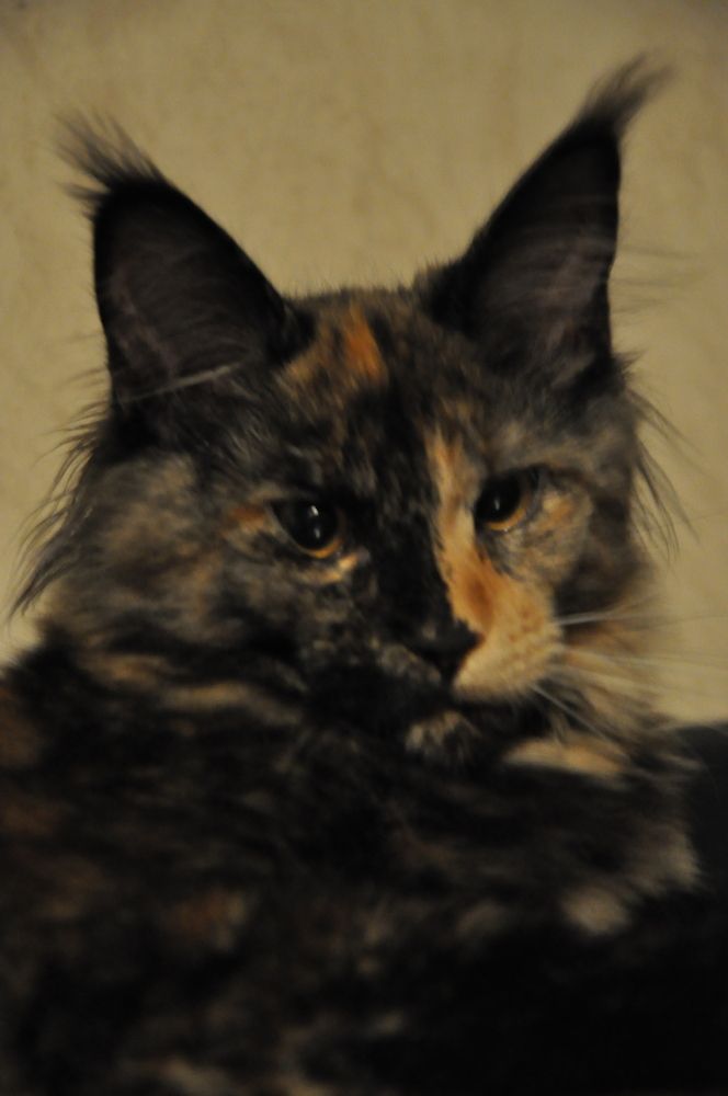 Photograph by Александра Пухкалова