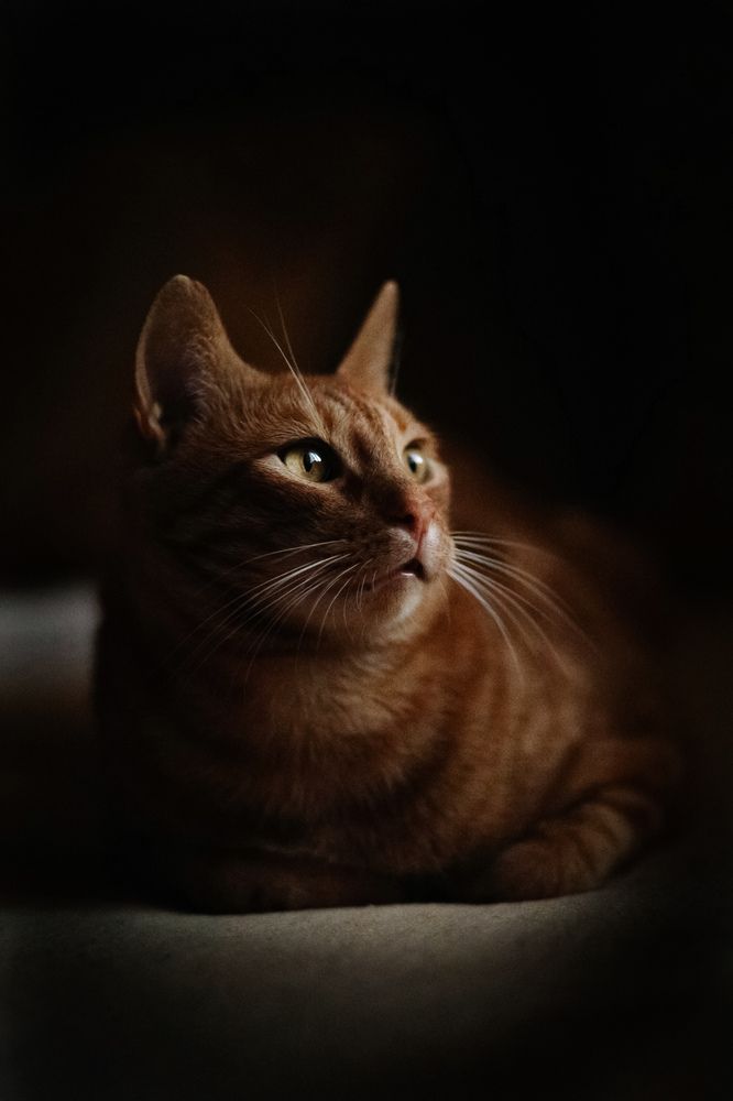 Фотография автора Татьяна Радусь