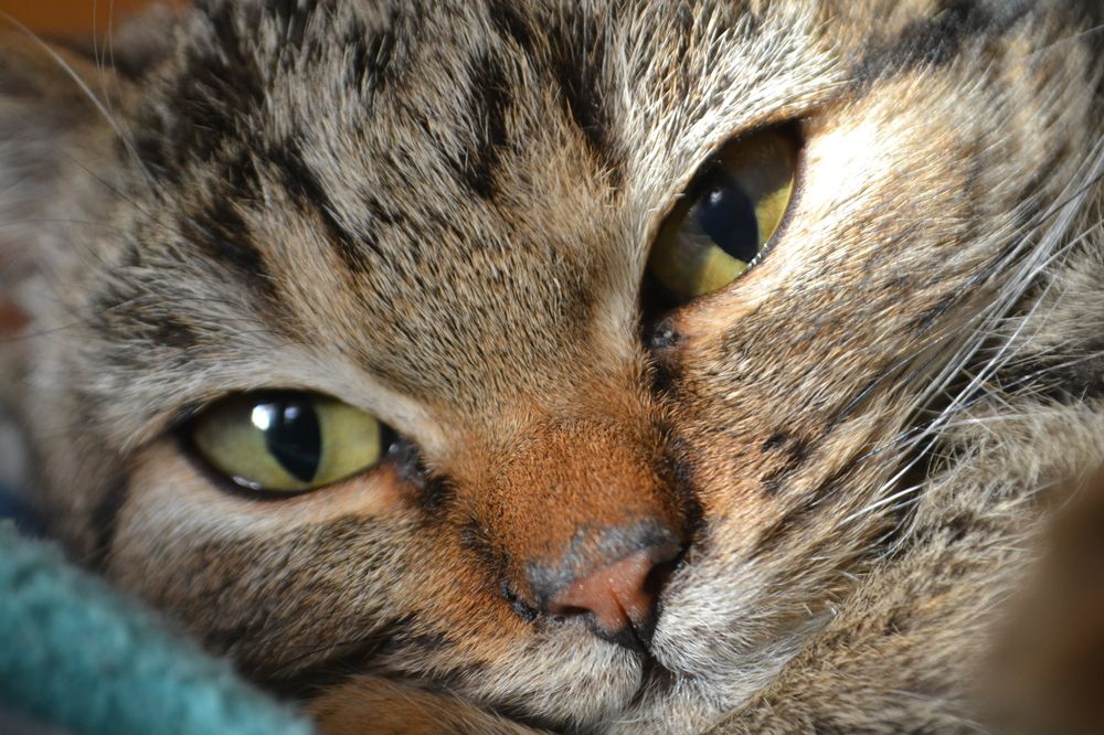 Photograph by Николай Дмитриев