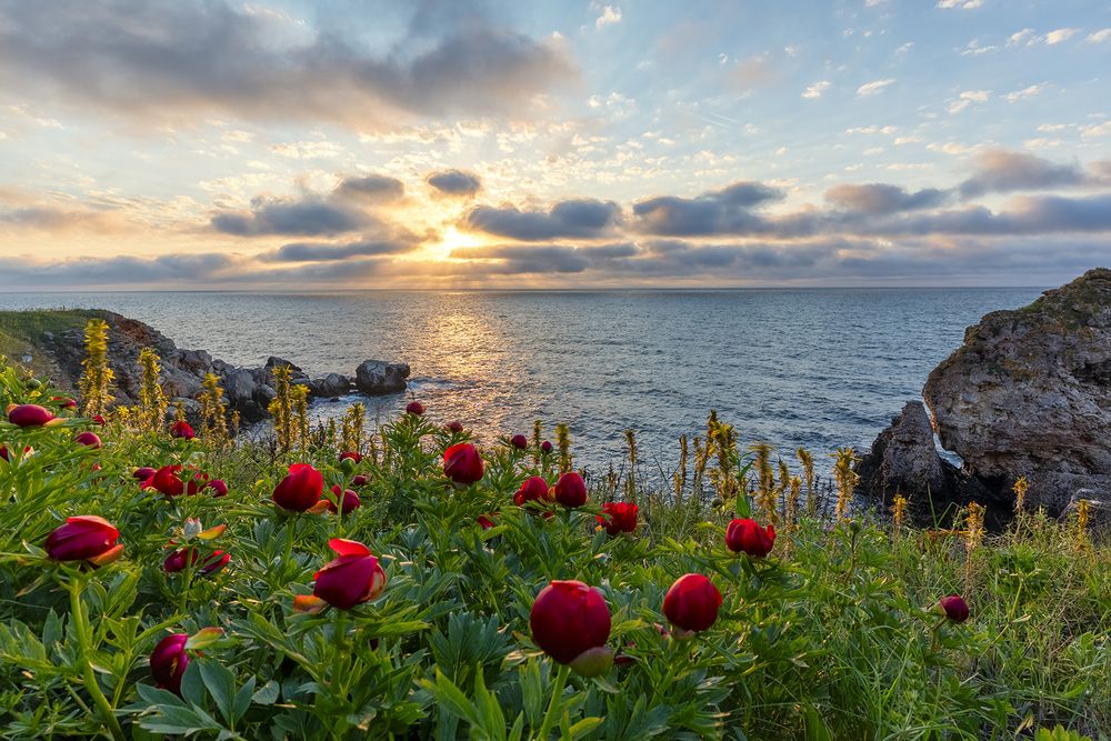 Seaside sunrise
