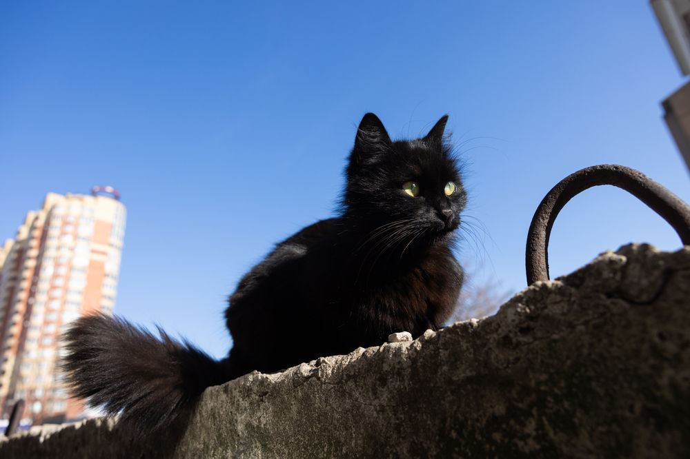 Photograph by Алексей Пирязев