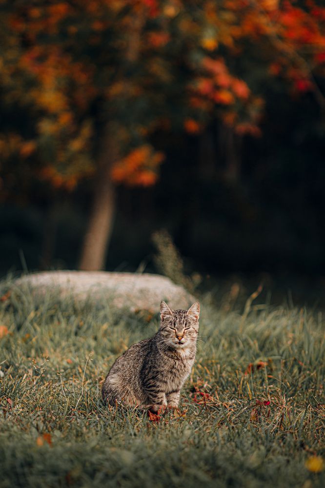 Photograph by Артур Станулевич