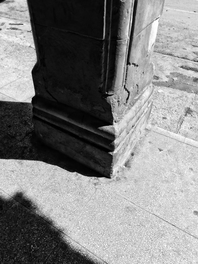 Photo #12236136