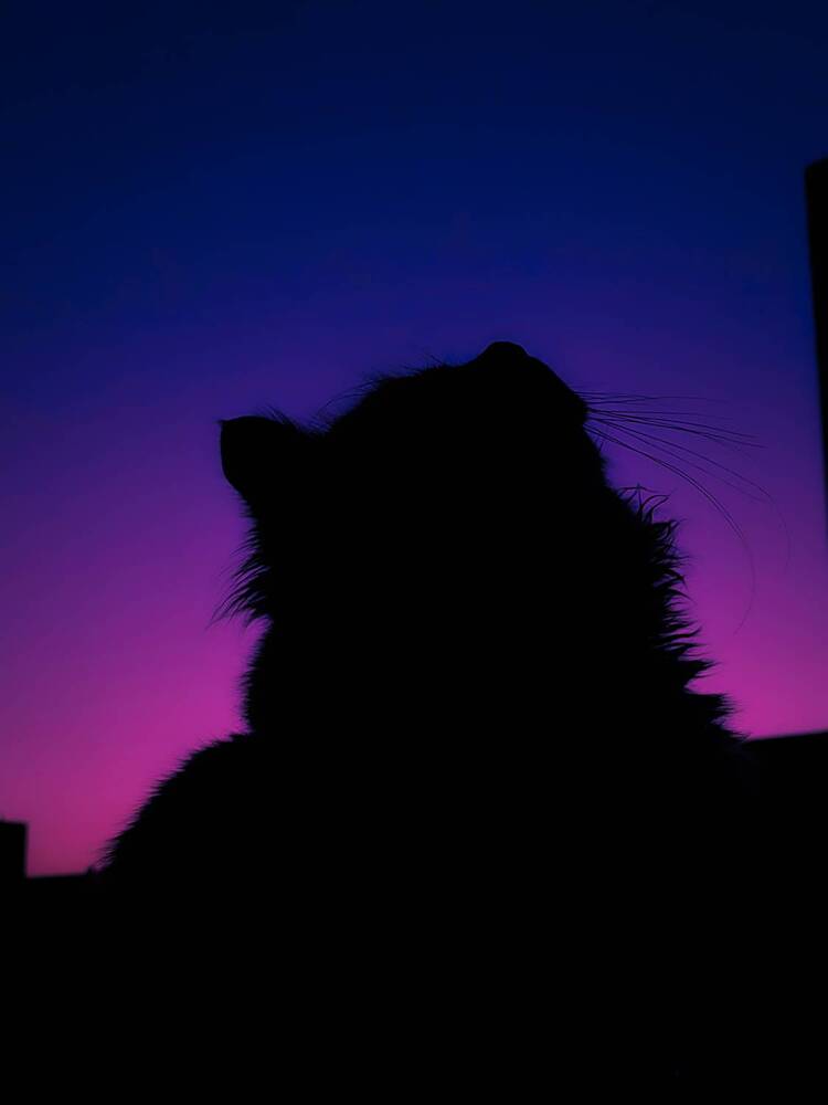 Photograph by zakaria yahia