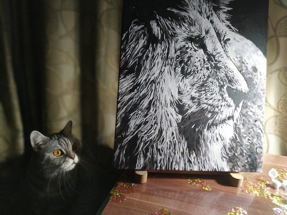 Кот Тимофей в образе