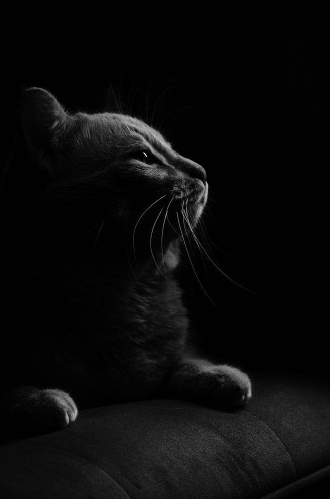 Photograph by Андрей Шелуков