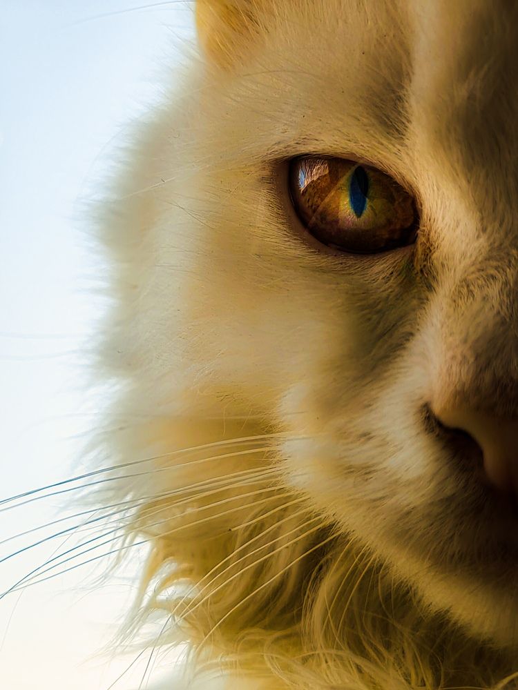 Photograph by zakaria yahia