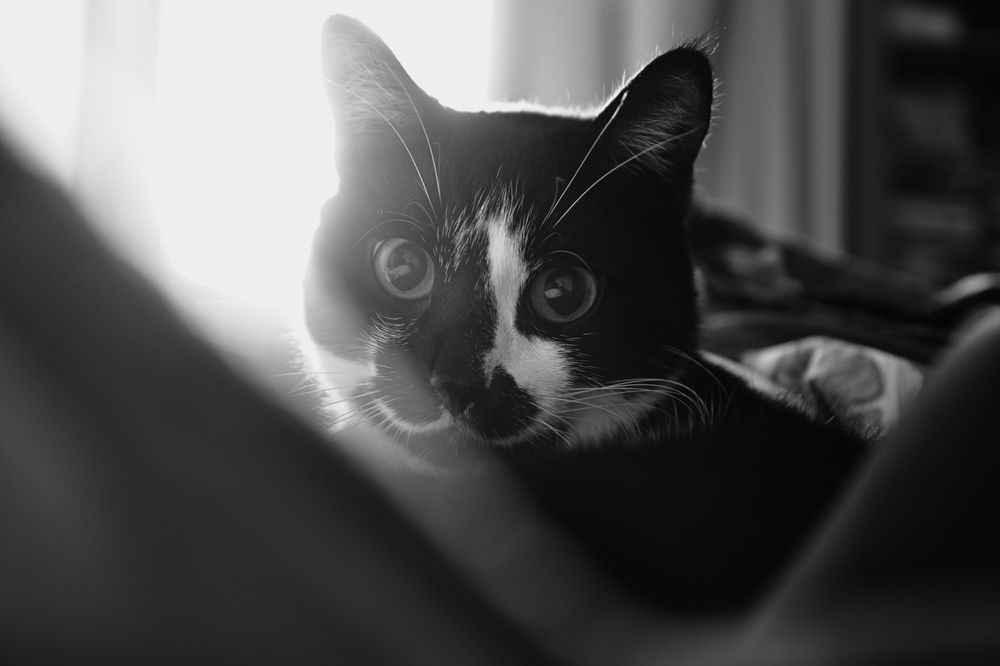 Photograph by Андрей Шелуков