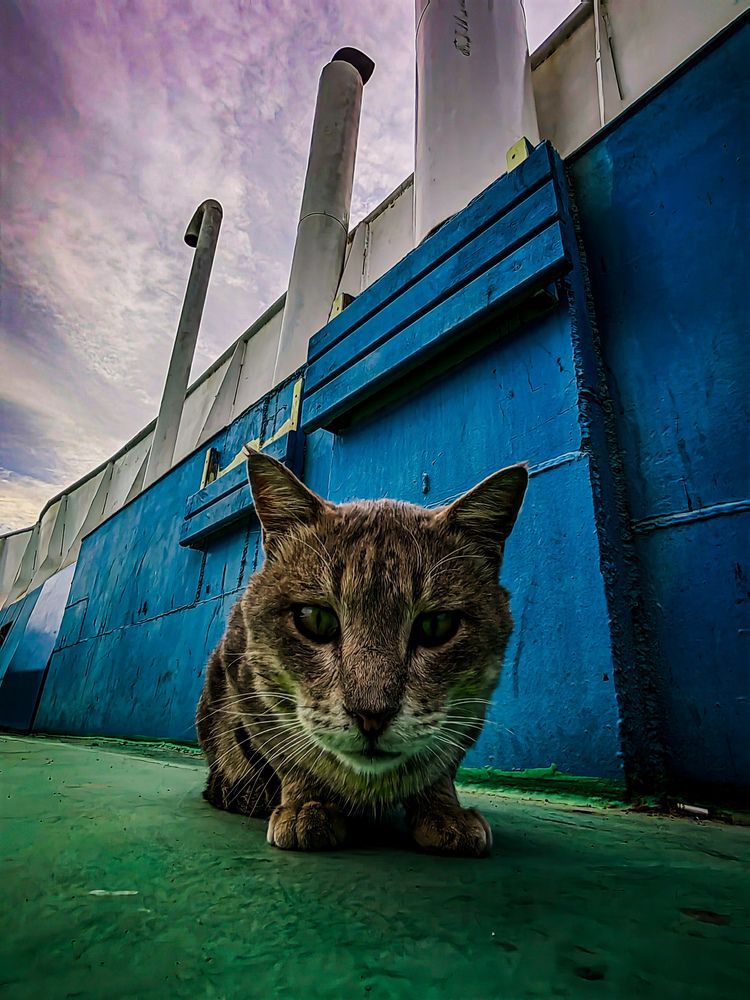 Photograph by zakaria yahia