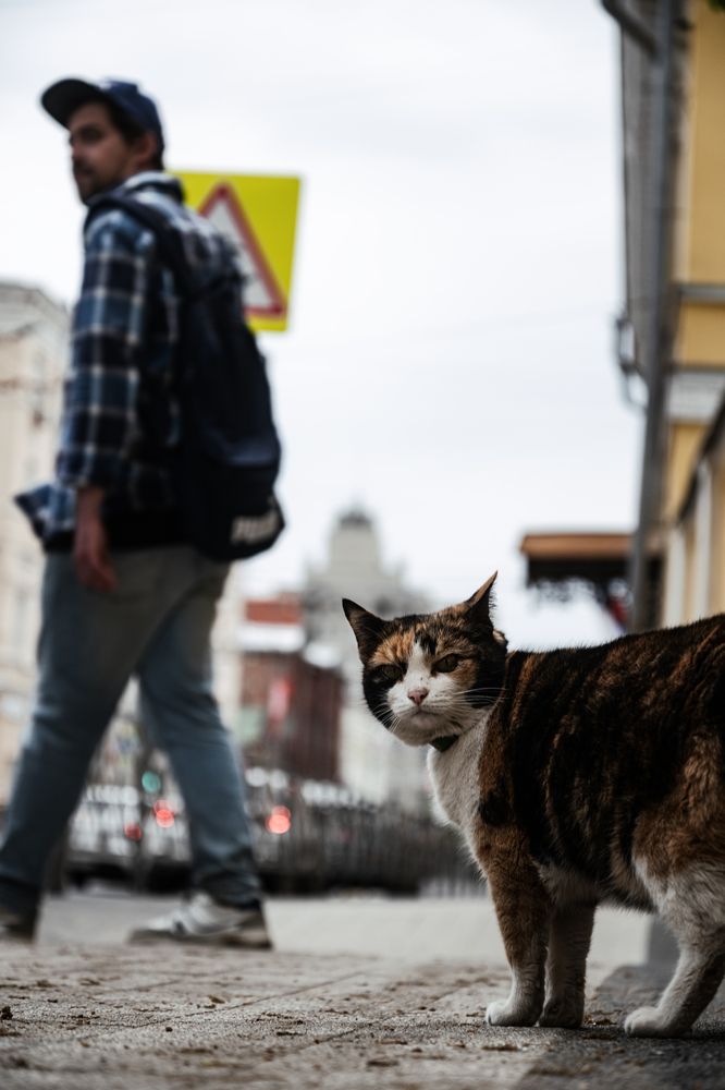 Photograph by Андрей Шелуков