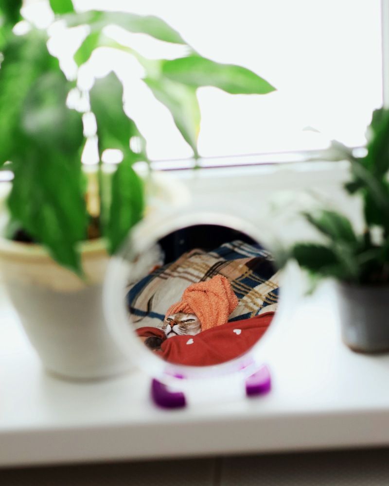 Photograph by Людмила Михеева