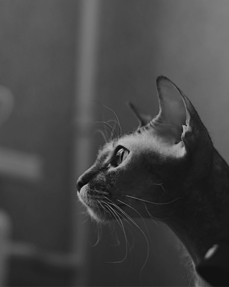 Photograph by Людмила Михеева