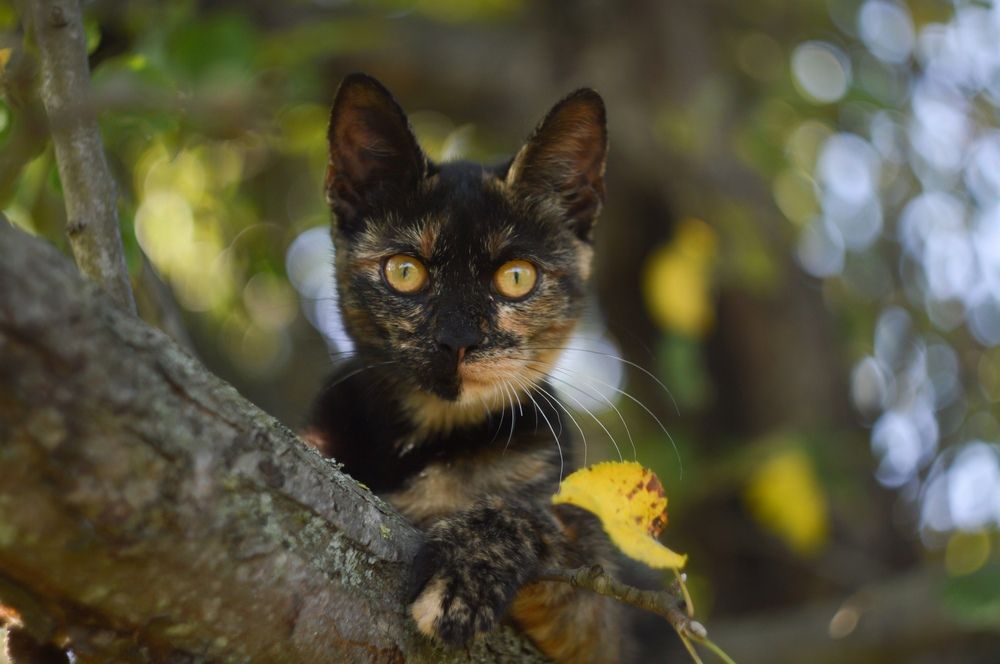 Photograph by Анастасия