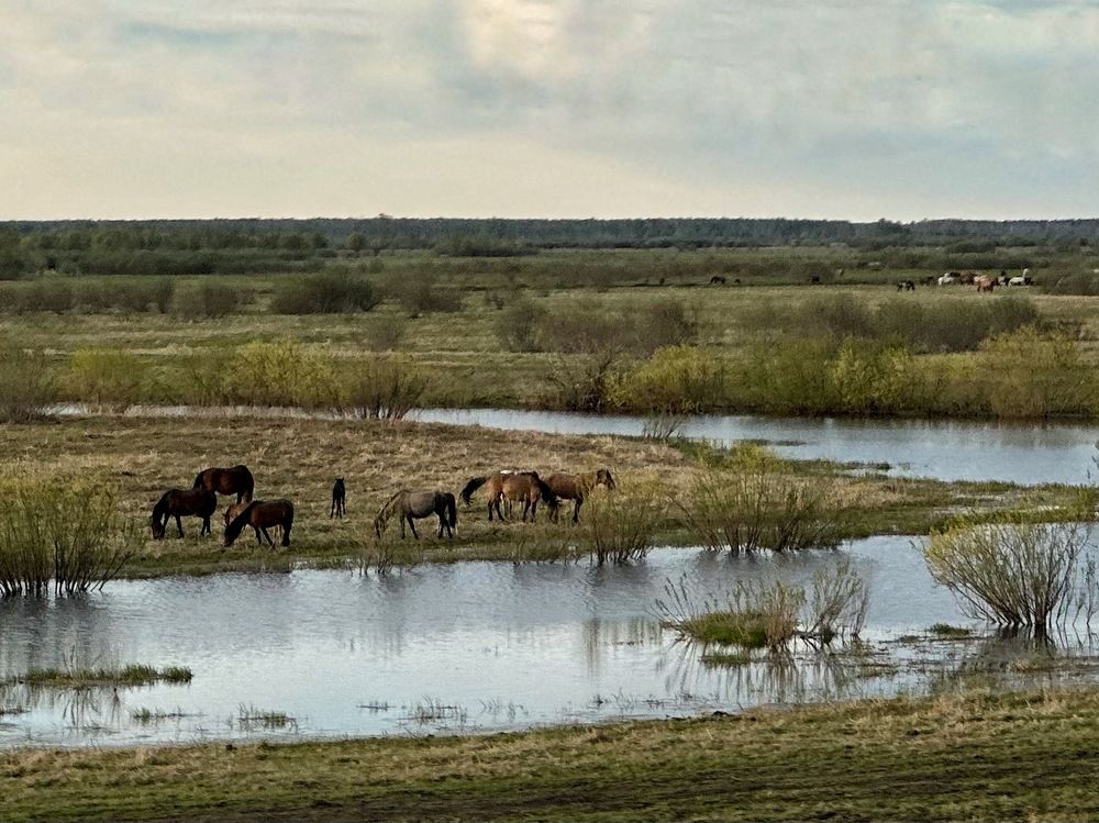 Photograph by Анастасия Конина