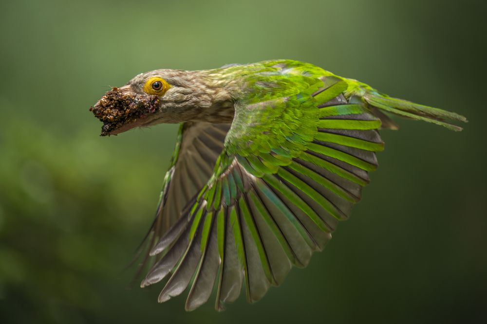 Photograph by Dino Von Valen