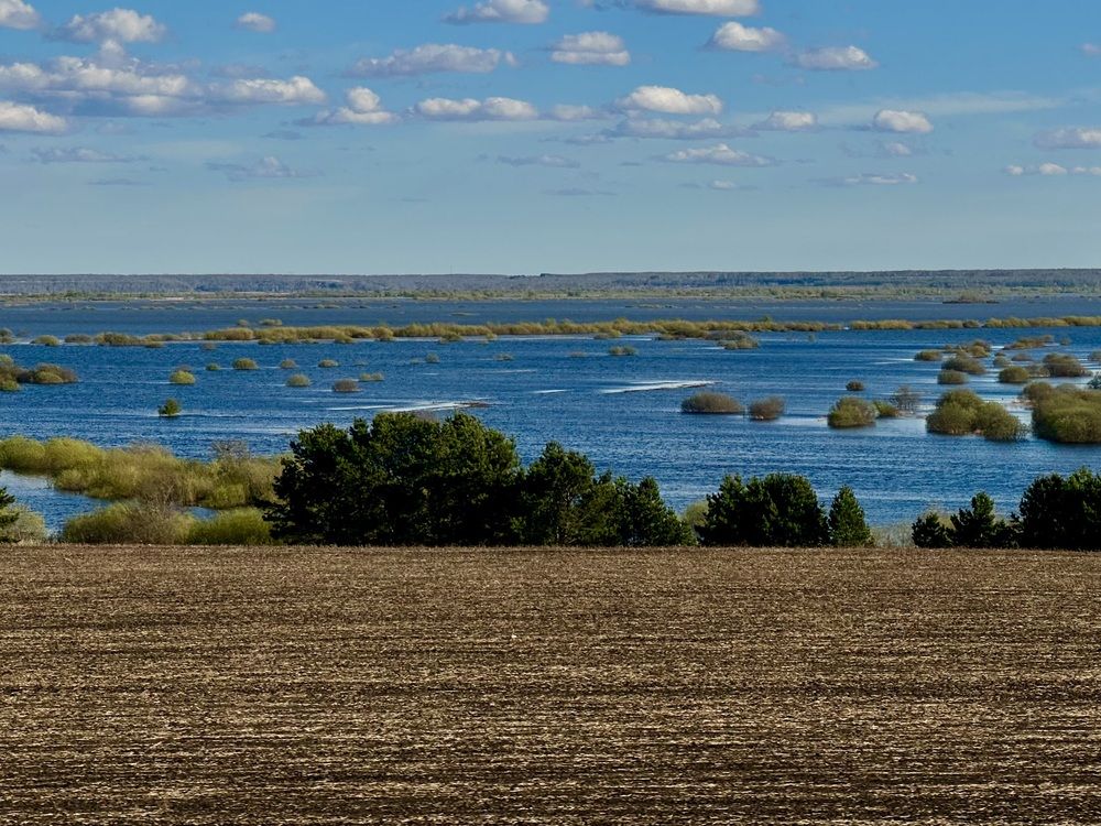 Photograph by Анастасия Конина