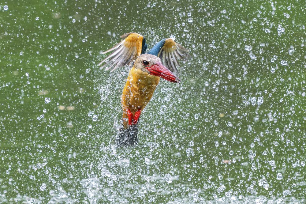 Photograph by Dino Von Valen