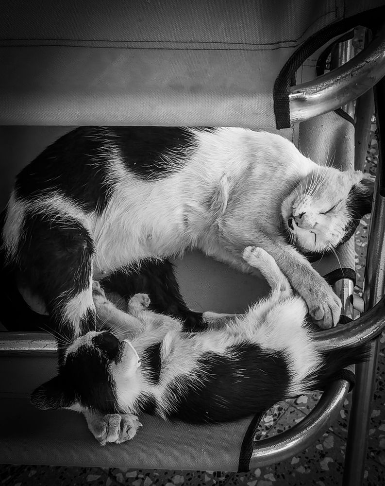 Фотография автора Fethi South Sider