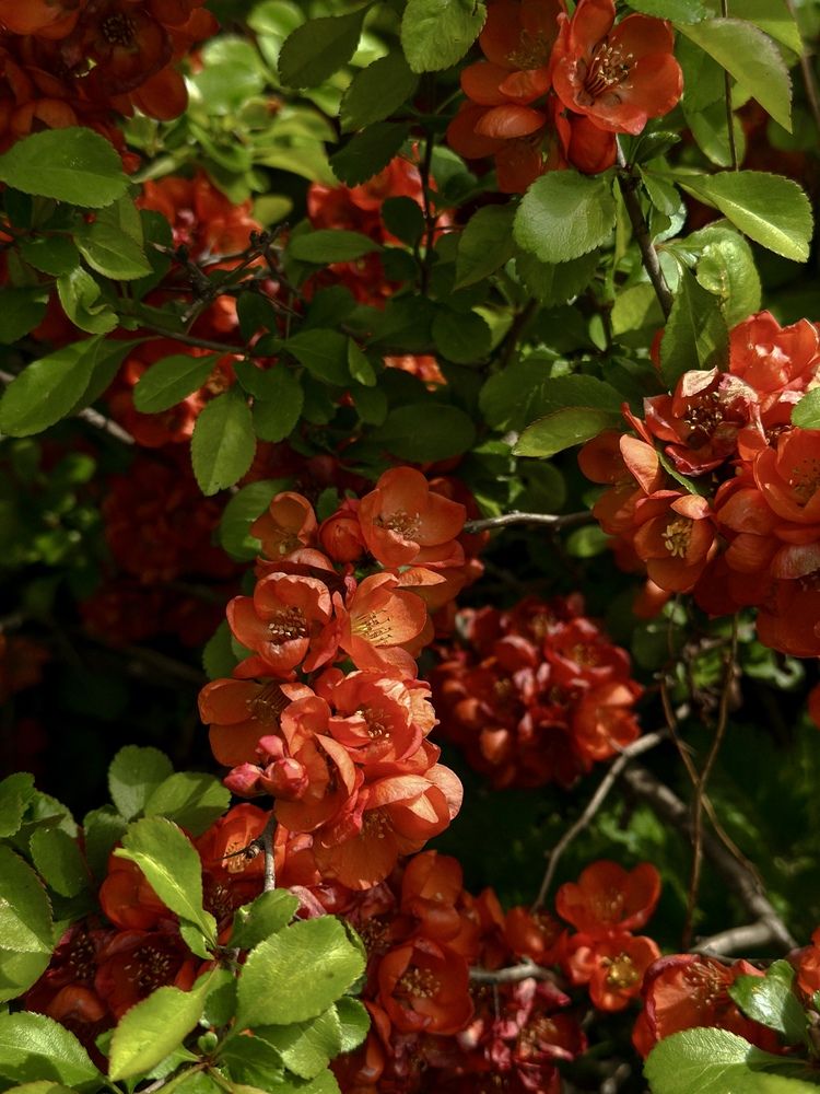 Photograph by Татьяна Веселова