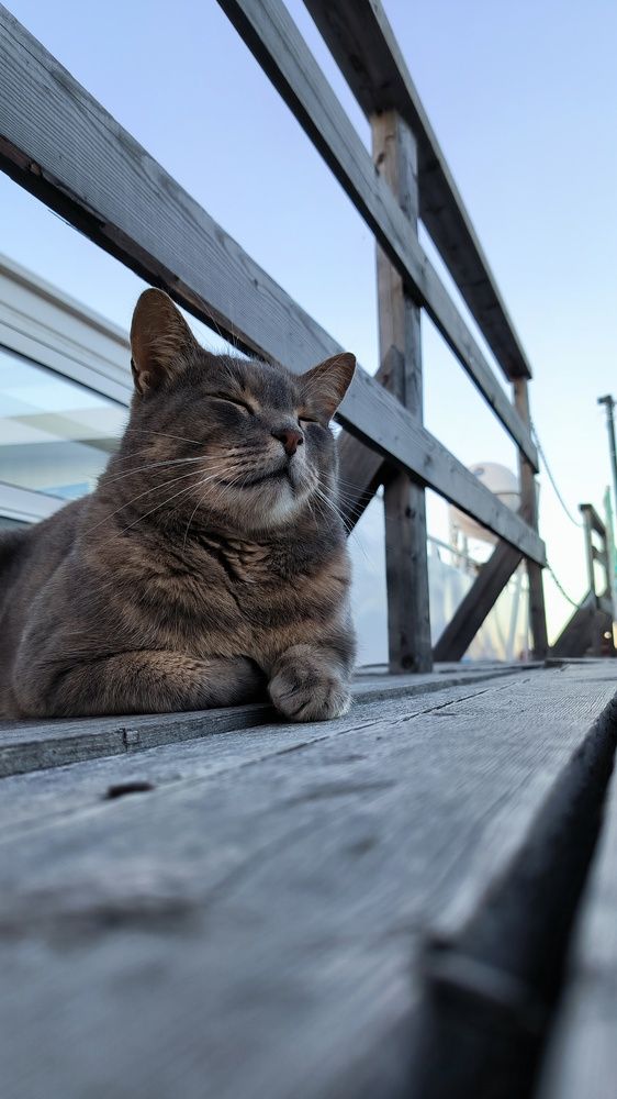 Photograph by Ольга Попова