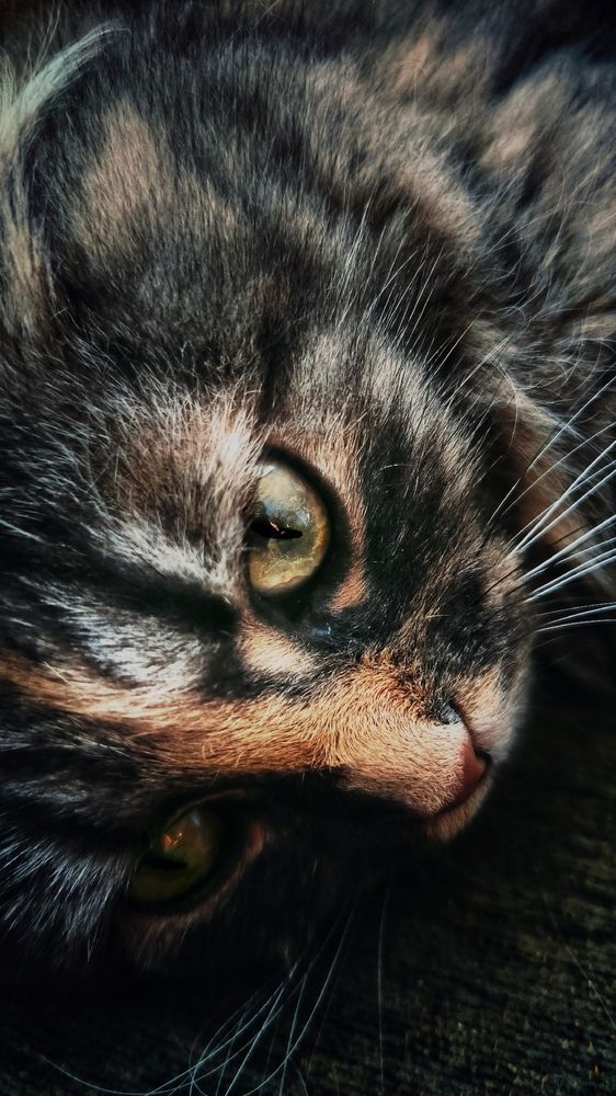 Photograph by Ольга Попова